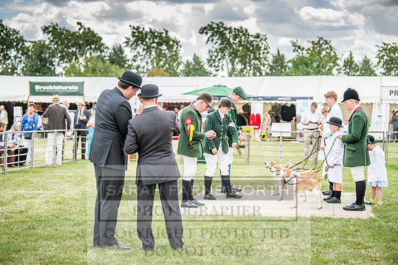 PFoH 2018-314