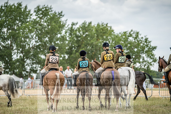 PFoH 2018-593