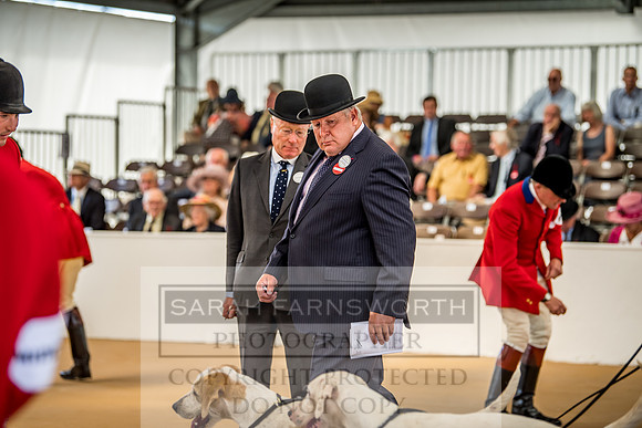 PFoH 2018-111