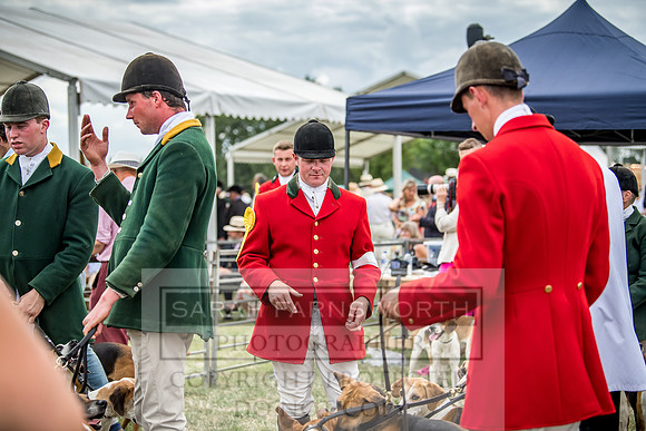PFoH 2018-656
