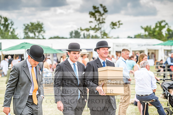 PFoH 2018-601
