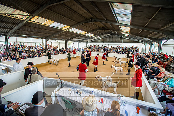 PFoH 2018-681