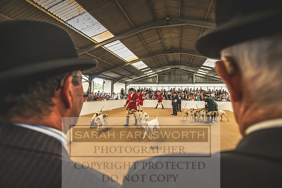 PFoH 2018-353