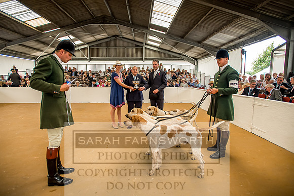 PFoH 2018-367