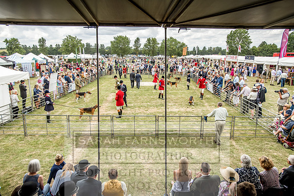 PFoH 2018-374