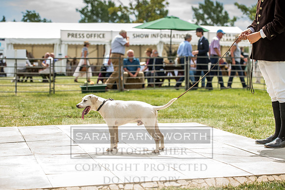 PFoH 2018-526