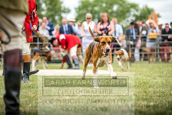 PFoH 2018-388