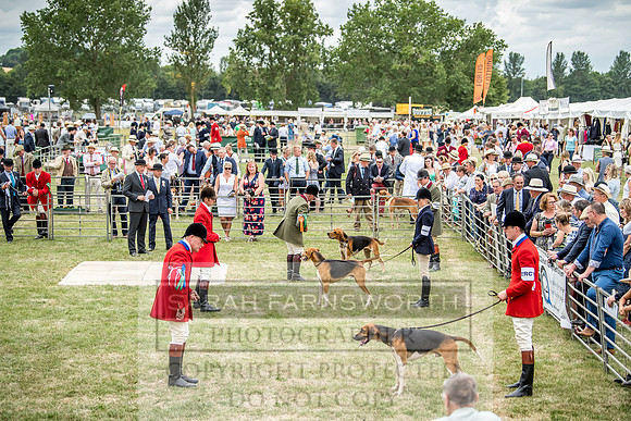 PFoH 2018-375