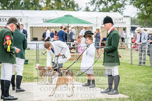 PFoH 2018-316