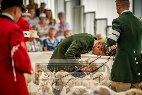 PFoH 2018-357