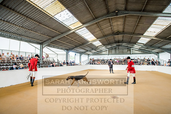 PFoH 2018-107