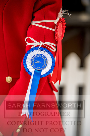PFoH 2018-287
