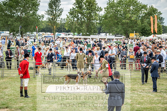 PFoH 2018-396
