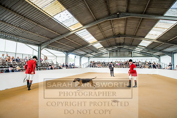 PFoH 2018-106