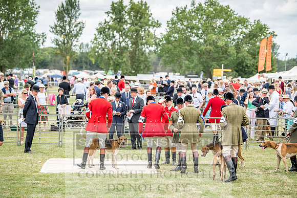 PFoH 2018-346