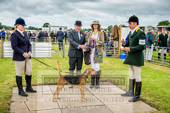 Honiton Hound Show 2017-23
