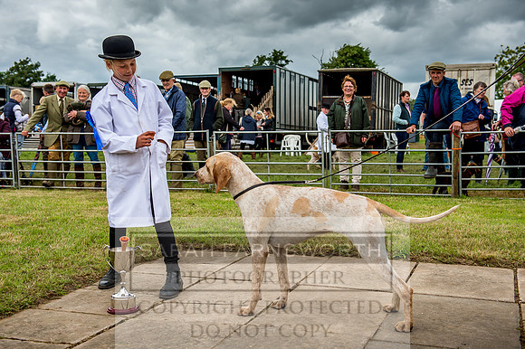 Honiton Hound Show 2017-81