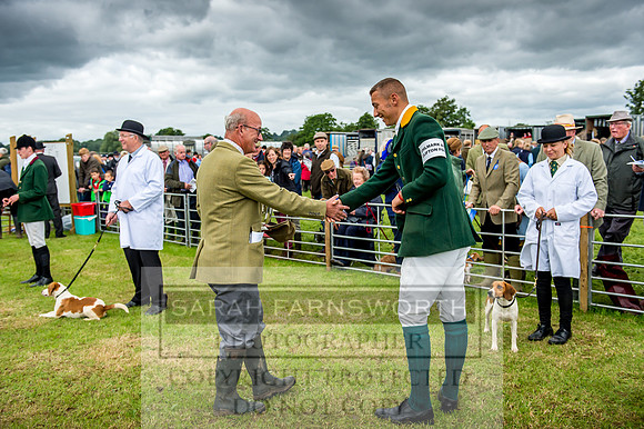 Honiton Hound Show 2017-15