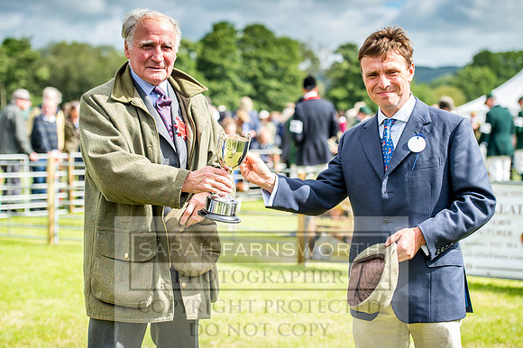 Honiton Hound Show 2017-11