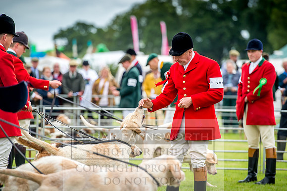 Honiton Hound Show 2017-28