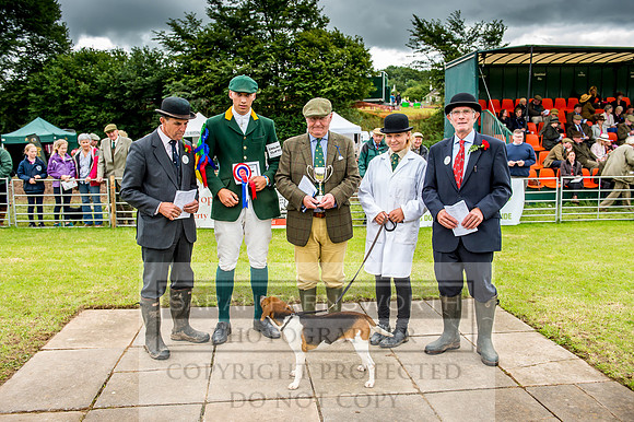 Honiton Hound Show 2017-44