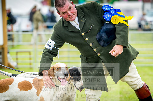 Honiton Hound Show 2017-56