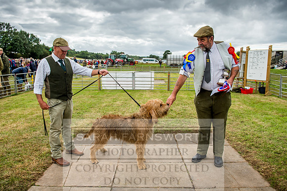 Honiton Hound Show 2017-90