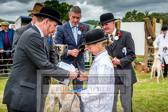 Honiton Hound Show 2017-79