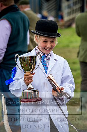 Honiton Hound Show 2017-82