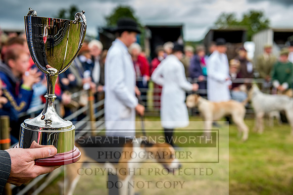 Honiton Hound Show 2017-74
