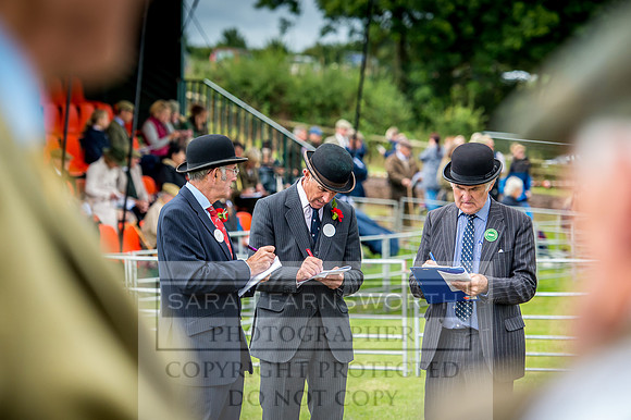 Honiton Hound Show 2017-14