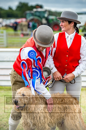 Honiton Hound Show 2017-94