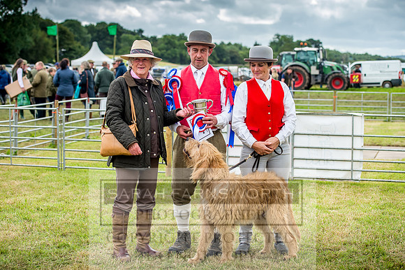 Honiton Hound Show 2017-93
