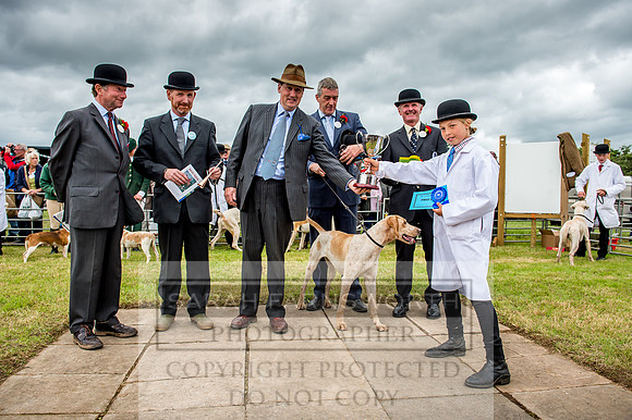 Honiton Hound Show 2017-78