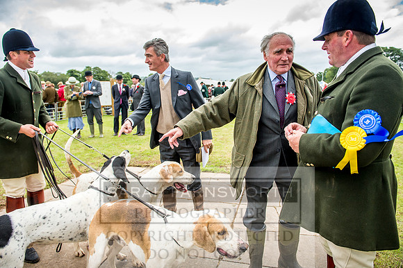 Honiton Hound Show 2017-31