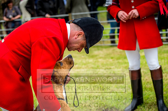 Honiton Hound Show 2017-21