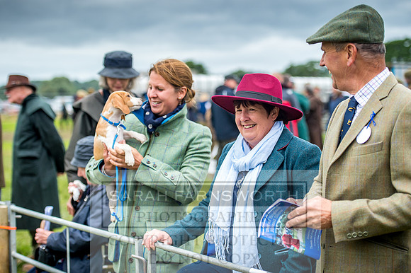 Honiton Hound Show 2017-36