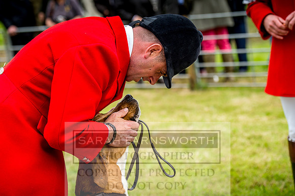 Honiton Hound Show 2017-22