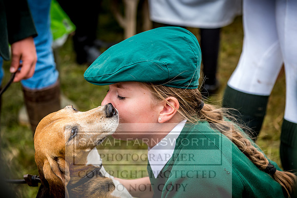Honiton Hound Show 2017-73