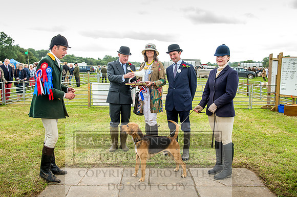 Honiton Hound Show 2017-66