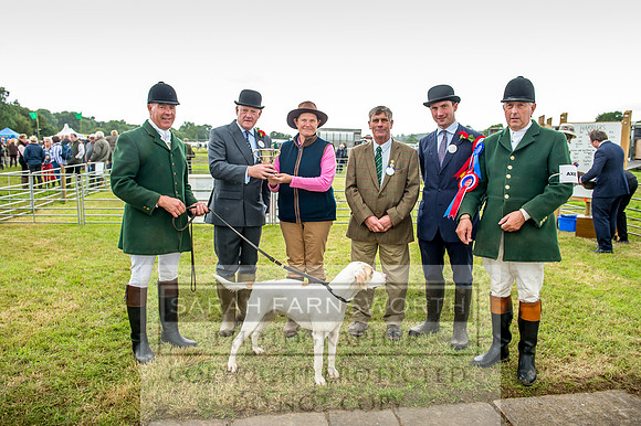 Honiton Hound Show 2017-67
