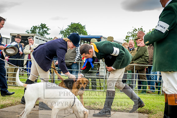 Honiton Hound Show 2017-63