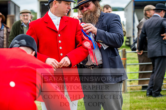 Honiton Hound Show 2017-20