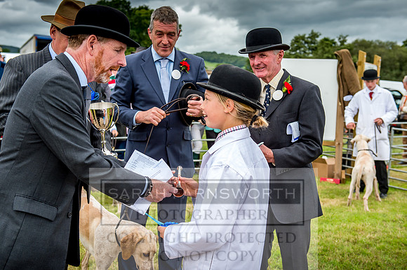 Honiton Hound Show 2017-80
