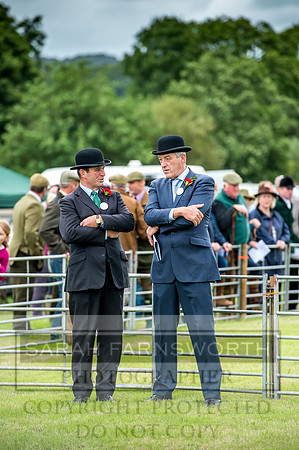 Honiton Hound Show 2017-1