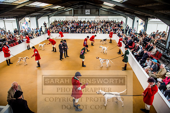 PFoH 2017-617