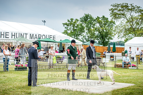 PFoH 2017-266