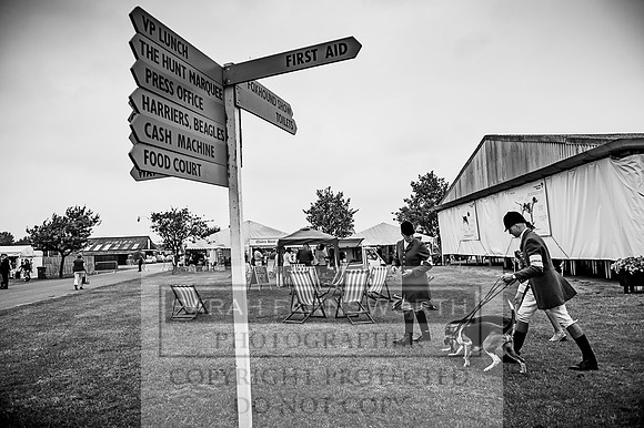 PFoH 2017-561