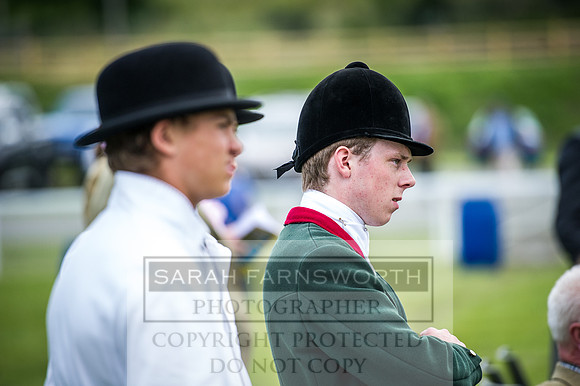 Builth Hound Show 2016-13