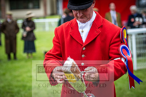 Builth Hound Show 2016-294